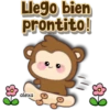 Happy 🐒🍌 Monkey 15