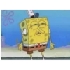 Favorite Memes 21
