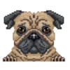 Perritos 23