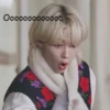 SKZ (lol) 21
