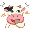 Momo Cow Positive 16
