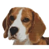 Perritos 24