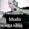 Pegatins 24