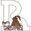 LeTrAs ♡ ChRiStMaS 21
