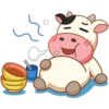 Momo Cow Positive 20