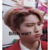 slay more more more more more skz memes 27