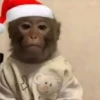 🎄 MeMes NaViDeÑoS 🦌 26
