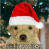 🎄 MeMes NaViDeÑoS 🦌 28