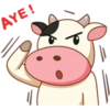 Momo Cow Positive 21