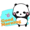Sweet panda & honey pig 🫧🐼🐷 5