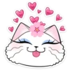 Gata loca💞1🇵🇪Clásica 5