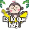 Mo-monkey🤎🐒 7
