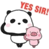 Sweet panda & honey pig 🫧🐼🐷 7