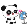 Pandita bebe 💒🌻 8