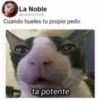 TRAJEDIA 12