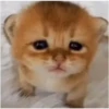 -_- 6