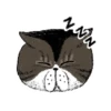 Durmiendo 1 9