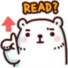 Bac Bac Bear Neutral 9