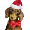 Perritos Navideños🎄💞1🇵🇪Clásica 7