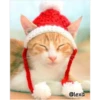 =💚❤️Gatitos Navideños❤️💚= 9