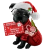 Perritos Navideños🎄💞1🇵🇪Clásica 10