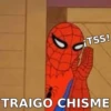 SPIDERMAN MEMARDOS 9