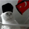 Memes for Turkish V1.0 5