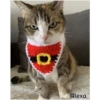 =💚❤️Gatitos Navideños❤️💚= 11