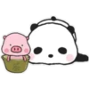 Sweet panda & honey pig 🫧🐼🐷 17