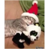 =💚❤️Gatitos Navideños❤️💚= 14