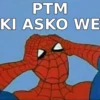 SPIDERMAN MEMARDOS 14