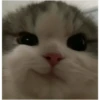 -_- 16