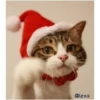 =💚❤️Gatitos Navideños❤️💚= 15