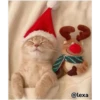 =💚❤️Gatitos Navideños❤️💚= 16