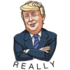 Дональд Трамп 17