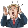 Дональд Трамп 18