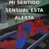 SPIDERMAN MEMARDOS 17