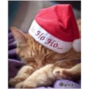 =💚❤️Gatitos Navideños❤️💚= 19