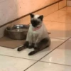 Un poco de todo2 9