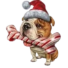 Perritos Navideños🎄💞1🇵🇪Clásica 23