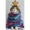 =💚❤️Gatitos Navideños❤️💚= 23