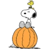 Snoopy Hallo 3 👩🏻‍🎨Img.1712 23