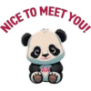 Panda Mascot 5