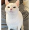 -_- 24