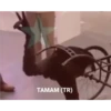 Memes for Turkish V1.0 9