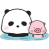 Sweet panda & honey pig 🫧🐼🐷 25
