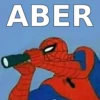 SPIDERMAN MEMARDOS 22