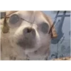 -_- 25