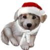 Perritos Navideños🎄💞1🇵🇪Clásica 26