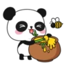 Pandita bebe 💒🌻 21